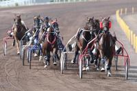 Domenica alle Capannelle si corre il 94° Derby  del trotto