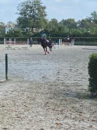 Il Cesena horses center fa il salto di eccellenza