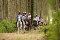 FEI Endurance , Italia rilancia con candidatura San Rossore FEI Endurance , Italia rilancia con candidatura San Rossore