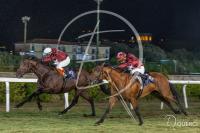 La passione  per l'ippica di Max Allegri, l'amaranto di Livorno La passione  per l'ippica di Max Allegri, l'amaranto di Livorno