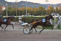 Bel successo di Iuska Roc nel sabato di trotto al Sesana di Montecatini