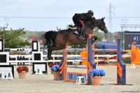 Sardegna Jumping Tour  i Chimirri  fanno il pieno! Sardegna Jumping Tour  i Chimirri  fanno il pieno!