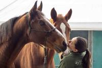 FIERACAVALLI: DOVE GRANDI E PICCOLI CAVALCANO LA STESSA PASSIONE FIERACAVALLI: DOVE GRANDI E PICCOLI CAVALCANO LA STESSA PASSIONE