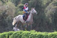 Ego Agylla,  purosangue arabo incoronato miglior 5 anni d'Italia Ego Agylla,  purosangue arabo incoronato miglior 5 anni d'Italia