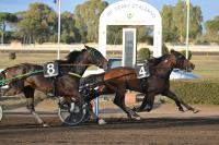 10.000 Capannelle:  Gabrioz  vince il derby Italiano del Trotto