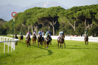 Nel giovedì  di San Rossore Light Go vuol proseguire la sua scalata Nel giovedì  di San Rossore Light Go vuol proseguire la sua scalata