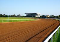 Sottosegretario La Pietra pubblicazione della classificazione degli ippodromi Sottosegretario La Pietra pubblicazione della classificazione degli ippodromi