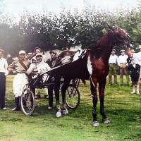Capannelle, Domenica di prestigio: si corre  il Derby Day.