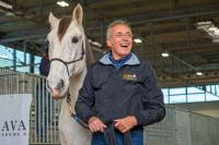 Fieracavalli: non solo sport Fieracavalli: non solo sport