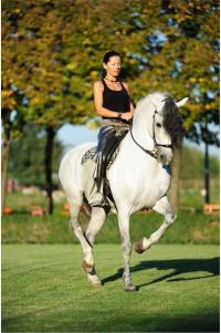 L'Accademia Teatro Equestre Zebre alla Fiera del Cavallo di Forlì