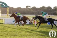 Vera Amicizia da un capo all'altro nella Apertura Pisana Vera Amicizia da un capo all'altro nella Apertura Pisana