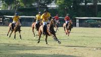 Polo, riparte lo show al Roma Polo Club con l’edizione del centenario della FISE. Polo, riparte lo show al Roma Polo Club con l’edizione del centenario della FISE.