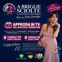 A BRIGLIE SCIOLTE APPRODA IN TV A BRIGLIE SCIOLTE APPRODA IN TV