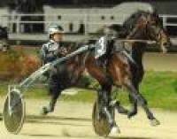 Trotto. Adrian Chip senza rivali nel G.P. Mangelli Trotto. Adrian Chip senza rivali nel G.P. Mangelli