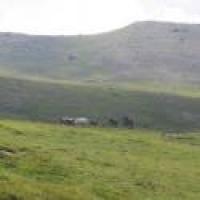 Fitetrec-Ante, un Comitato per proteggere i cavalli