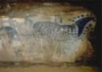 La scienza dimostra che i cavalli<br> pomellati esistevano 35.000 anni fa La scienza dimostra che i cavalli<br> pomellati esistevano 35.000 anni fa