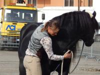 Orfeo a Fieracavalli: una manifestazione  vissuta dall'interno