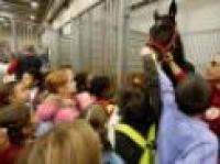 I sogni dei bambini premiati a Fieracavalli