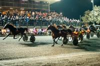 Montegiorgio, Gualdo Tadino fa il bis al Palio dei Comuni Montegiorgio, Gualdo Tadino fa il bis al Palio dei Comuni