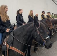 Fieracavalli,  tre viaggi per un equitazione sostenibile