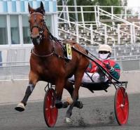 Gentlemen, trotto che passione! A Follonica il Federnat