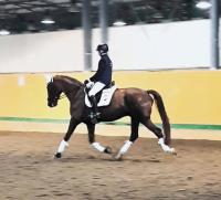 Dressage: la Sardegna si fa onore alla Coppa delle Regioni di Cervia
