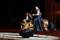 Arte equestre verso l'Unesco: forum Icaste apre dialogo internazionale al Sicab Arte equestre verso l'Unesco: forum Icaste apre dialogo internazionale al Sicab