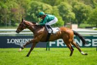 RIFLESSIONI SULLE PATTERN  E SULLE CLASSIFICHE MONDIALI