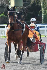Venerdì al Visarno l'ouverture della stagione del trotto fiorentino Venerdì al Visarno l'ouverture della stagione del trotto fiorentino