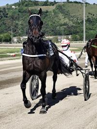 Foggia Centrale, domenica il Gran Premio di Capitanata Foggia Centrale, domenica il Gran Premio di Capitanata