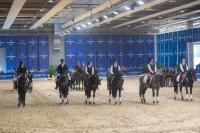 Quattro proposte per i prossimi 100 anni del Cavallo Murgese Quattro proposte per i prossimi 100 anni del Cavallo Murgese