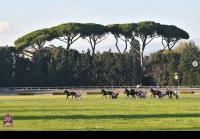 I tre anni in lizza nel Premio Ubaldo Baldi nel venerdì di Firenze