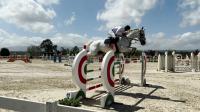 Salto ostacoli: a Tanca Regia il Campionato del Cavallo Sardo
