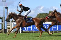 Domani, ultima domenica di corse dell'anno  a Capannelle