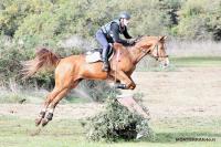 Tanca Regia: Luigi Iriu vince il titolo regionale di Completo Tanca Regia: Luigi Iriu vince il titolo regionale di Completo