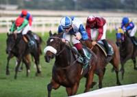 Taany e Sioux Life guidano lo schieramento italiano nel Lydia Tesio