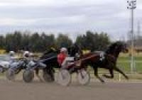 Trotto a Roma, una vittoria per Bepi Biasuzzi