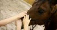 I bambini scrivono... Un cavallo per amico