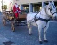 Babbo Natale arriva all'Arezzo Equestrian Centre