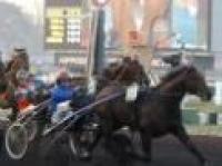 Trotto a Parigi, Ghibellino sfiora l'impresa Trotto a Parigi, Ghibellino sfiora l'impresa