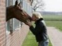 World Cup di salto, l'irlandese Kurten al comando World Cup di salto, l'irlandese Kurten al comando