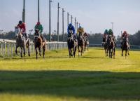 Ardenza, sabato i tre anni in handicap sui 1500 Ardenza, sabato i tre anni in handicap sui 1500