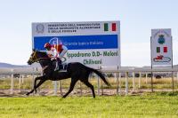 Masaf, pubblicato elenco soggetti idonei commissioni organi giustizia sportiva Masaf, pubblicato elenco soggetti idonei commissioni organi giustizia sportiva