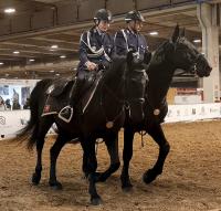 Presentazione Sezione a cavallo Polizia Locale di Firenze Presentazione Sezione a cavallo Polizia Locale di Firenze