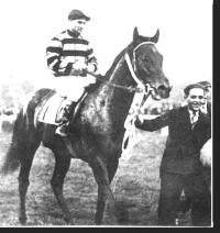 NEARCO E ARCHIDAMIA: MEMORABILI RICORRENZE