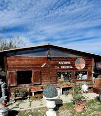 Fattoria La Rebecca: rifugio di amore e rinascita nelle campagne di Parma Fattoria La Rebecca: rifugio di amore e rinascita nelle campagne di Parma