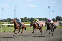 VIVA GIAVELLOTTO , orgoglio dell'allevamento italiano VIVA GIAVELLOTTO , orgoglio dell'allevamento italiano