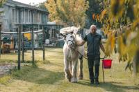 Giovanni Adami, quando i cavalli ti indicano la via