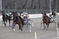 Martedì con il trotto al Visarno e i due anni in apertura Martedì con il trotto al Visarno e i due anni in apertura
