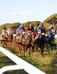 Convegno di Santo Stefano a Pisa con il Premio Piazza dei Miracoli Convegno di Santo Stefano a Pisa con il Premio Piazza dei Miracoli